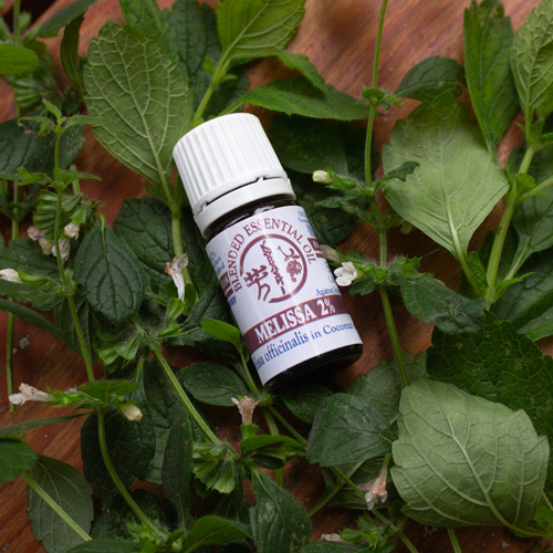 Melissa 2% in Coconut Oil 10ml