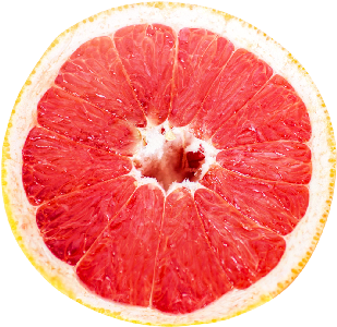 Grapefruit Oil CP 30ml