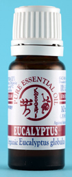 Eucalyptus Oil 10ml